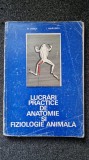 LUCRARI PRACTICE DE ANATOMIE SI FIZIOLOGIE ANIMALA - Stoica, Mihailescu
