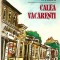 Calea Vacaresti (ed. Gramar) - I. Peltz