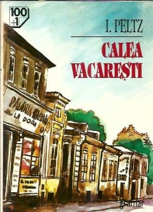 Calea Vacaresti - I. Peltz