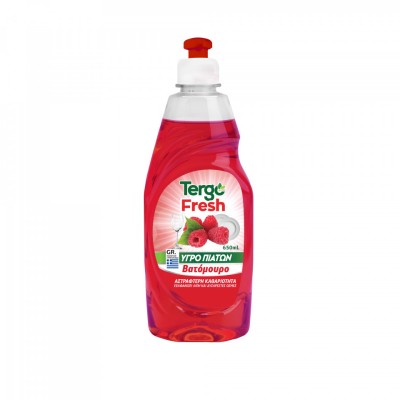 Detergent lichid pentru vase parfum zmeura 650ml TERGO foto