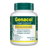 Colagen Plus Glucozamina, 90 capsule, Genacol