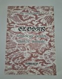 Georgeta Balekics Glosar tehnologic pentru dantele manuale