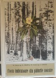 Flora indicatoare din padurile noastre Al. Beldie, C. Chirita