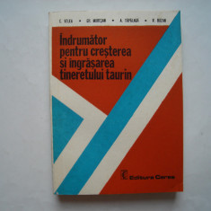 Indrumator pentru cresterea si ingrasarea tineretului taurin - colectiv