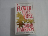A FLOWER THAT&#039;S FREE - SARAH HARRISON