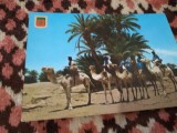 Cumpara ieftin CARTE POSTALA -MARRUECOS TIPICC NECIRCULATA