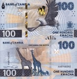 ZAMBIA 100 kwacha 2024 UNC!!!