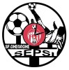 F.C. SEPSI SFANTUL GHEORGHE- ceas de perete