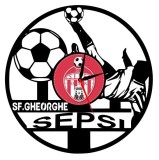 F.C. SEPSI SFANTUL GHEORGHE- ceas de perete