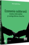 Economia subterana. Analiza informatiilor si cartografierea riscurilor - Dan-Andrei Coca
