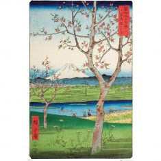 Poster Maxi Hiroshige - 91.5x61 - The Outskirts of Koshigaya