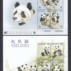 Guyana - Ursi - PANDA URIASI - 2 BL - MNH