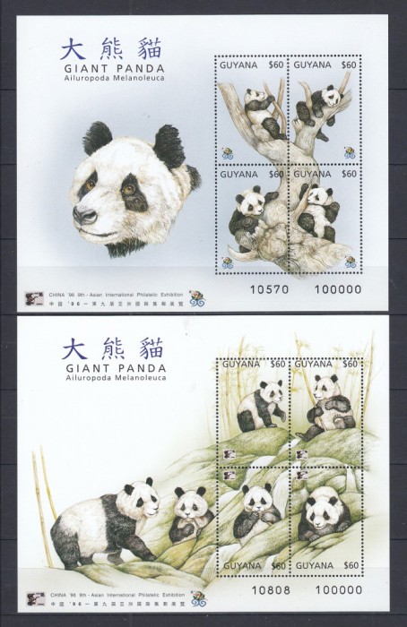 Guyana - Ursi - PANDA URIASI - 2 BL - MNH