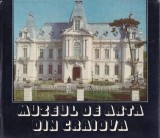 Paul Rezeanu - Muzeul de arta din Craiova