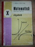 Matematica Algebra Manual pentru clasa a 10-a - C. Nastasescu, C. Nita