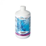 Pontaqua Reductor de pH Acid Sulfuric 15% Accesorii Piscine