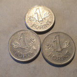 Ungaria lot monede forinți