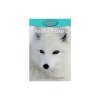 Arctic Foxes