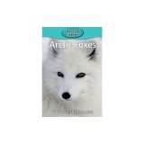 Arctic Foxes