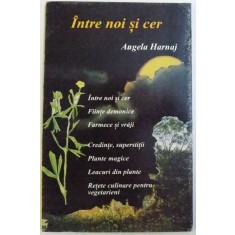 INTRE NOI SI CER de ANGELA HARNAJ