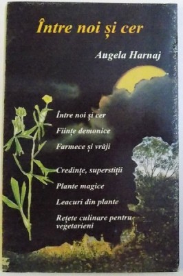 INTRE NOI SI CER de ANGELA HARNAJ foto