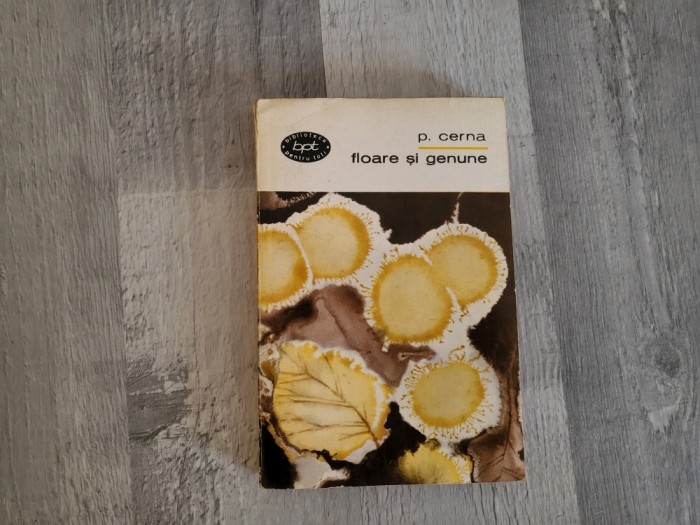 Floare si genune d3 P.Cerna