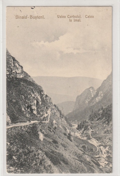 Sinaia - Busteni - Muntii Bucegi , Valea Cerbului , Calea la Imal