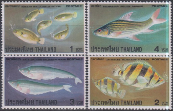 Timbre cu pești din Thailanda