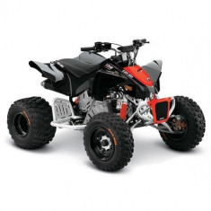Can-Am DS 90 X &amp;#039;19 foto