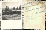 A4635N Detașamentul de evrei nr 141, Batalionul 1 Drumuri, tabăra de muncă forțată Predeal, 1943-1944, lot de 29 fotografii