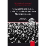 Cig&aacute;nyzen&eacute;szek harca a k&eacute;t vil&aacute;gh&aacute;bor&uacute; k&ouml;z&ouml;tti Magyarorsz&aacute;gon - Hajn&aacute;czky Tam&aacute;s