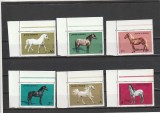 ROMANIA 1984 LP 1110 CAI DIN CRESCATORIILE ROMANESTI SERIE MNH