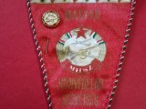 Fanion + insigna - MHSZ (Magyar Honv&eacute;delmi Sz&ouml;vets&eacute;g - Uniunea Maghiară de Apărare Națională