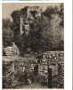 CPI B 11352 CARTE POSTALA - TURNU SEVERIN. RUINELE CETATII LUI SEVER, RPR, Circulata, Fotografie