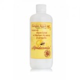 Sapun Lichid Apidermin cu Laptisor de Matca si Propolis, Complex Apicol, 500ml - Antiseptic, Antibacterian, Hidratant
