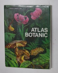 ATLAS BOTANIC de LUCIA POPOVICI , CONSTANTA MORUZI si ION TOMA , 1994 * EDITIE CARTONATA foto