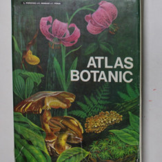 ATLAS BOTANIC de LUCIA POPOVICI , CONSTANTA MORUZI si ION TOMA , 1994 * EDITIE CARTONATA