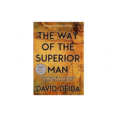 The Way of the Superior Man: A Spiritual Guide to Mastering the Challenges of Women, Work, and Sexual Desire