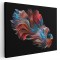 Tablou peste luptator betta 1721 Tablou canvas pe panza CU RAMA 60x90 cm