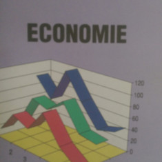 Economie G.Manea, I.Popescu 2005