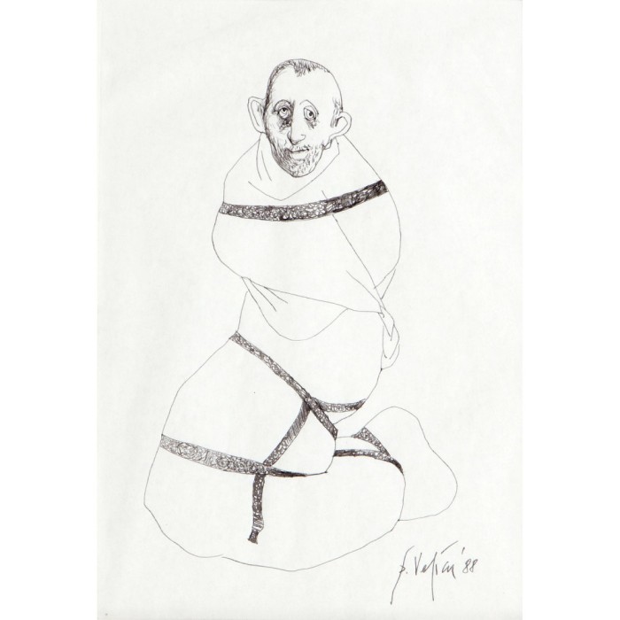 Petre Velicu, Personaj (1988