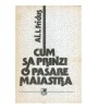 Al.I. Fridus - Cum sa prinzi o pasare maiastra - 117449
