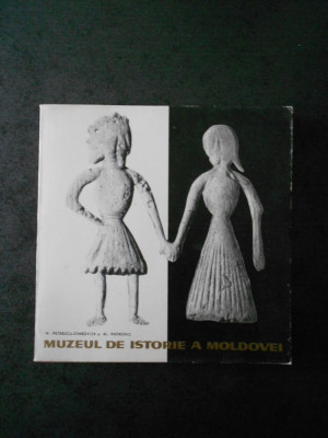 M. PETRESCU DAMBOVITA, AL. ANDRONIC - MUZEUL DE ISTORIE A MOLDOVEI foto