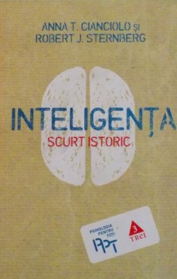 INTELIGENTA, SCURT ISTORIC de ANNA T. CIANCIOLO, ROBERT J. STERNBERG, 2012 foto