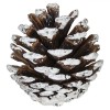 Set Conuri Decorative, 20 Bucăți, Culoare Alb, Dimensiune 5cm, Material Lemn, Oem