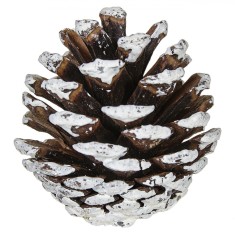 Set Conuri Decorative, 20 Bucăți, Culoare Alb, Dimensiune 5cm, Material Lemn