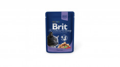 Brit Premium Cat Plic Cu Cod 100 Gr 7 Plus 2 Gratis foto