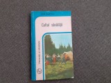 Ion Safta - Cultul sanatatii