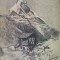 Muntele Matterhorn, de T. H. Karlsson (1952) - grafică &icirc;n cărbune
