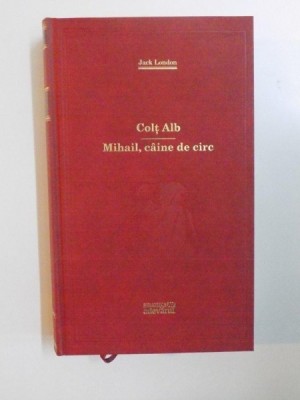COLT ALB. MIHAIL, CAINE DE CIRC de JACK LONDON 2011 foto